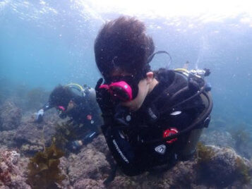 Spiritus Stories: Fostering a thriving habitat for marine life