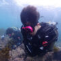 Spiritus Stories: Fostering a thriving habitat for marine life